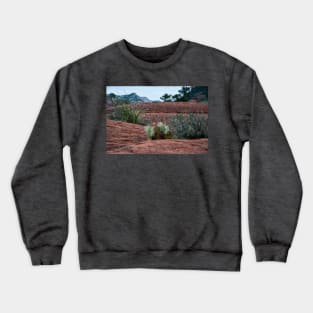 Sedona Cactus Crewneck Sweatshirt